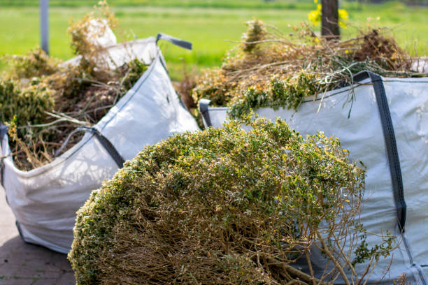 Basement Cleanout Services in East Dublin, GA